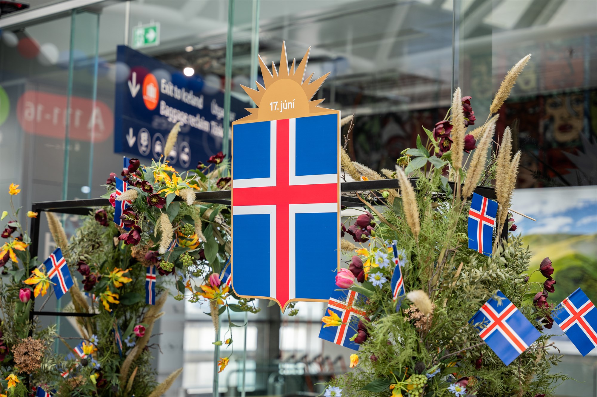 Happy Iceland's National Day